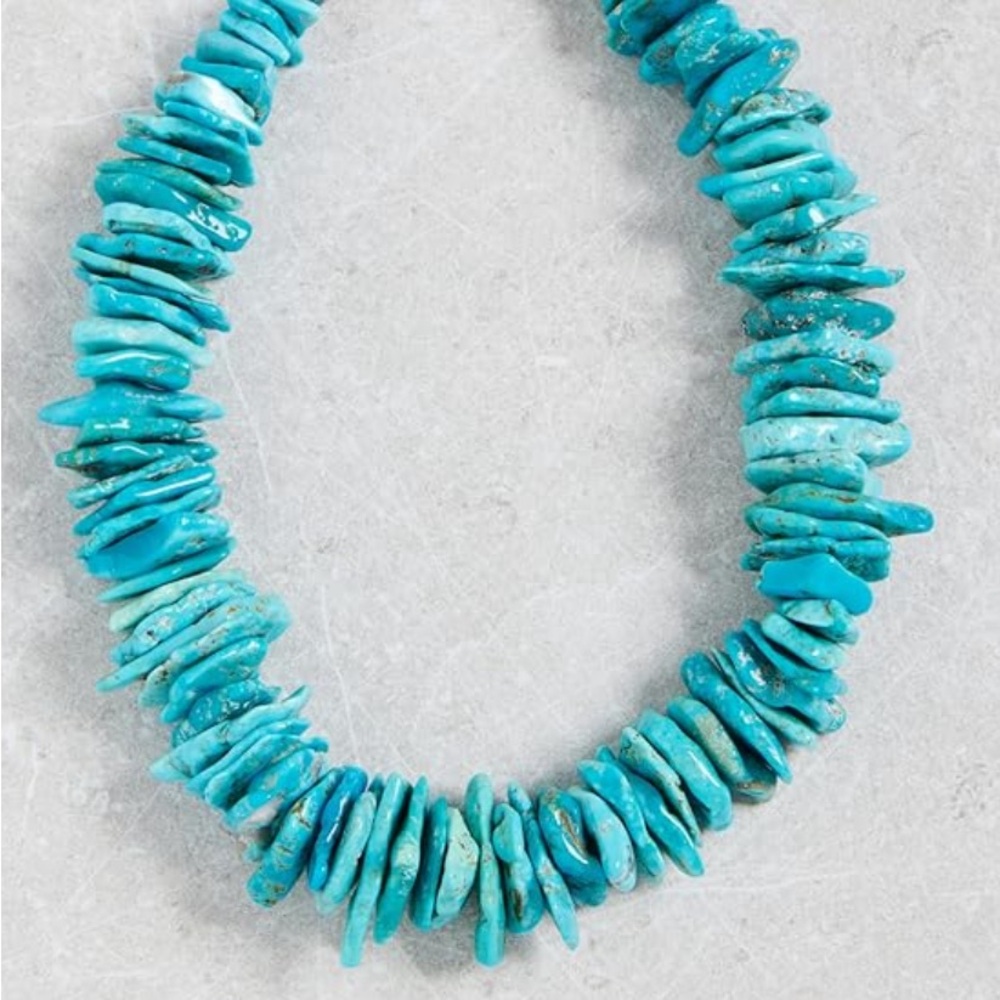 ISO - Chan Luu Turquoise Chip Necklace